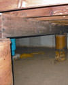 Mold and rot thriving in a dirt floor crawl space in Chatham