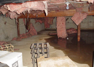 Fiberglass dripping off of the ceilings of a Goderich crawl space