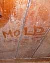 The word mold written with a finger on a moldy wood wall in Sarnia