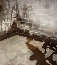 Water seeping through a concrete wall in a Belle River basement