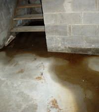 Flooding floor cracks by a hatchway door in Appin 